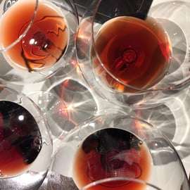 Da Torino: Tour di degustazione di Barolo e Barbaresco
