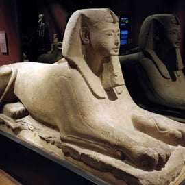 Torino: Museo Egizio e tour guidato della città