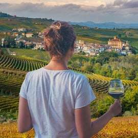 Torino: Langhe Wine Tour con trasferimenti privati e pranzo