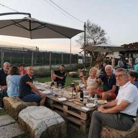 Tour in e-bike vicino a Torino: Cascina Blu e mirtilli