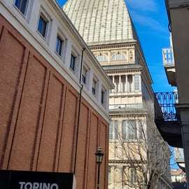 Torino: tour classico a piedi di 2,5 ore