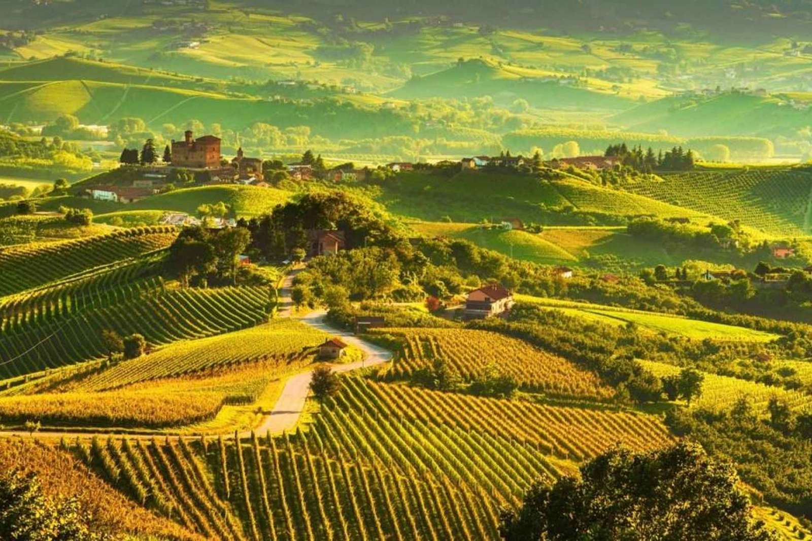 Tour di un giorno nella regione delle Langhe con degustazione di vini