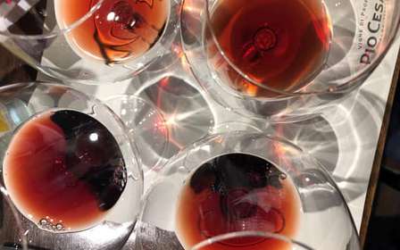 Da Torino: Tour di degustazione di Barolo e Barbaresco